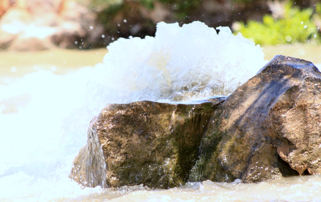 IMG_2672 ALBERT Q. Flickr