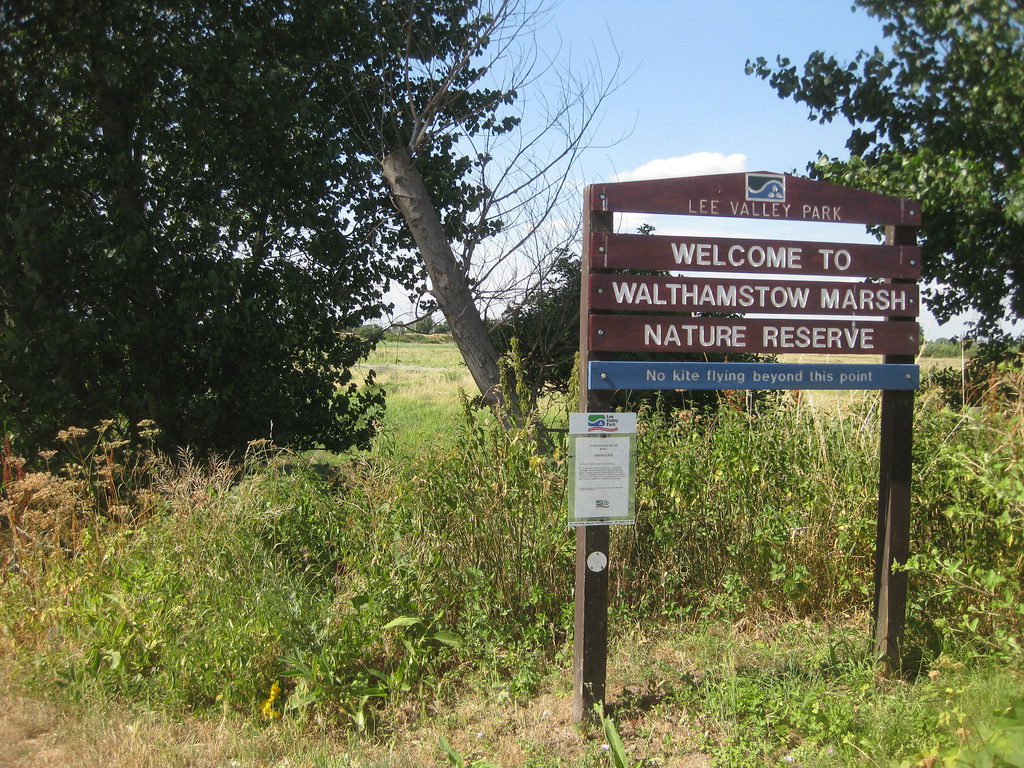 Walthamstow Marshes, River Lea Walk July 2010 bluebeart Flickr