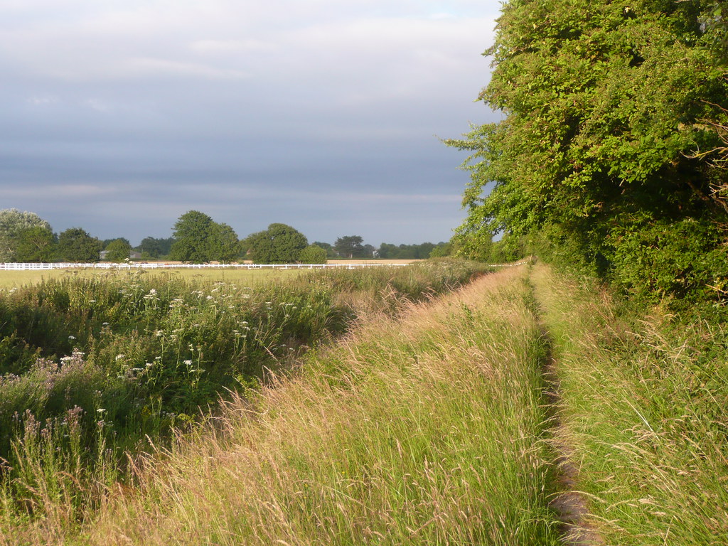 Canal bed at Barnham This is the longest stretch of unbrok… Flickr