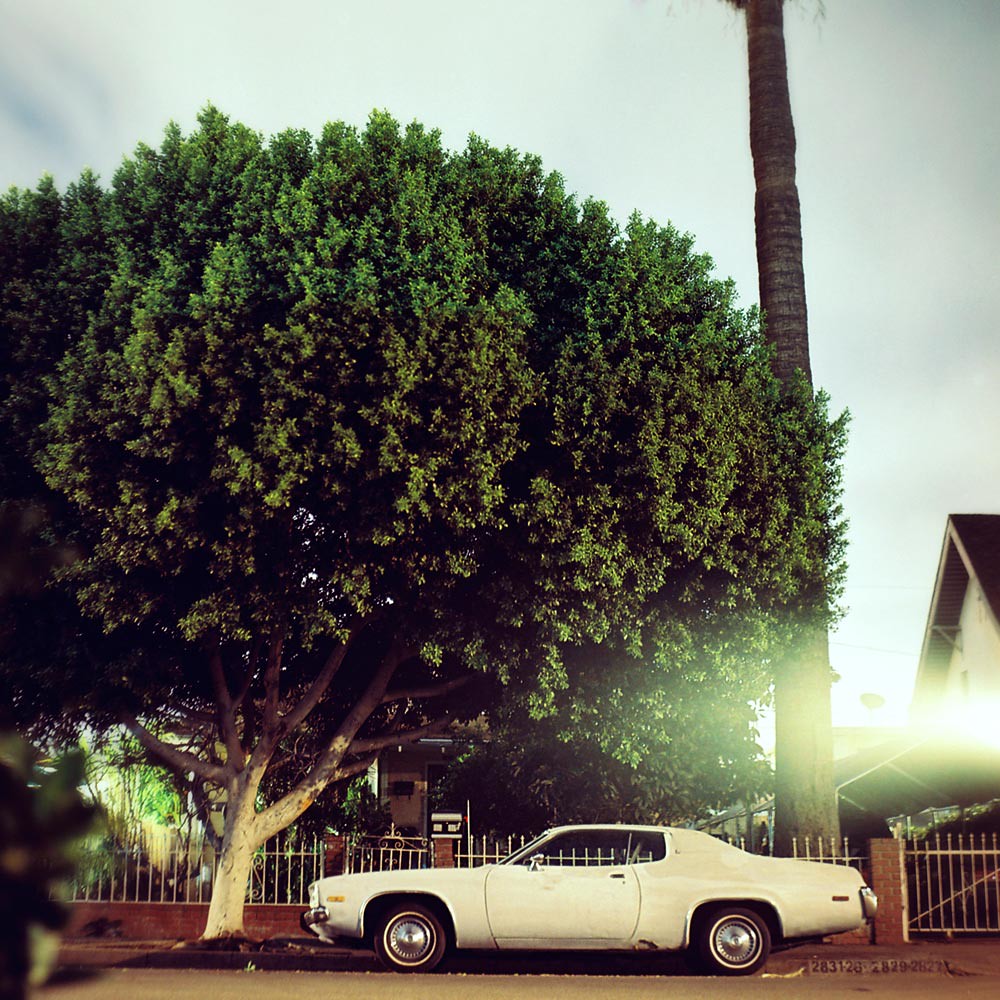 Cypress Park. Los Angeles, CA Ryan Schude Flickr