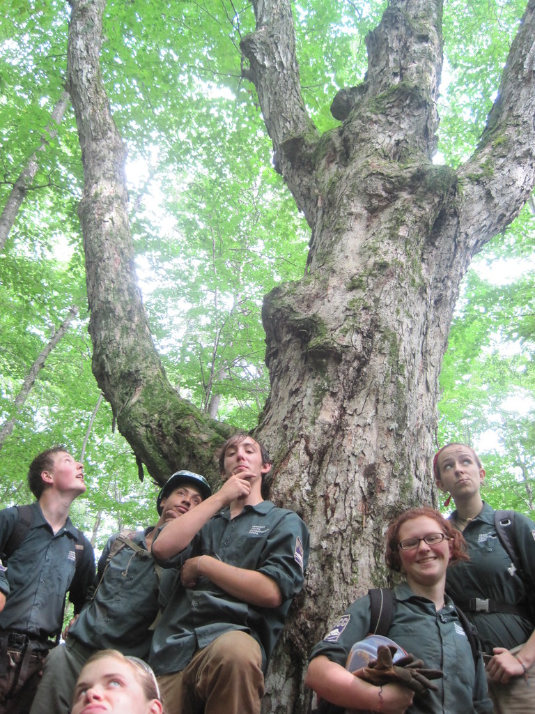 VYCC crew Vermont Youth Conservation Corps Flickr