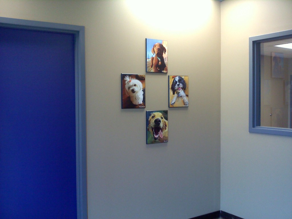 Wall Decor Bark Pet Grooming Flickr