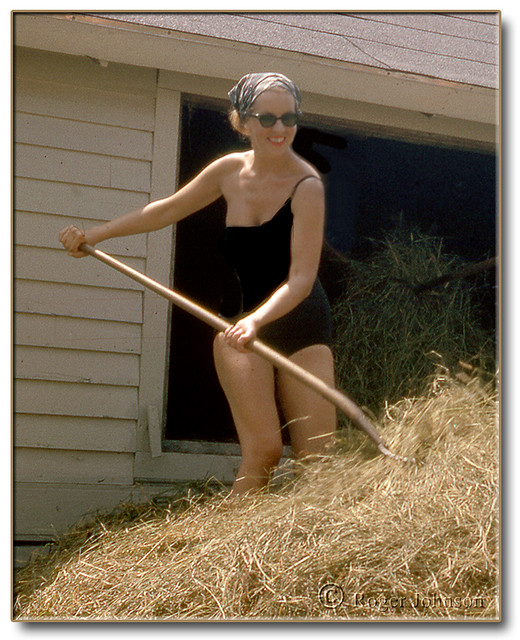 The Farmer's Daughter-2 | Since I'm in the process of loadin… | Flickr