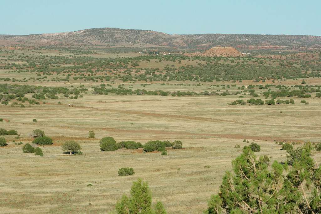 Elevation of San Carlos Road, San Carlos Rd, Arizona, USA Topographic
