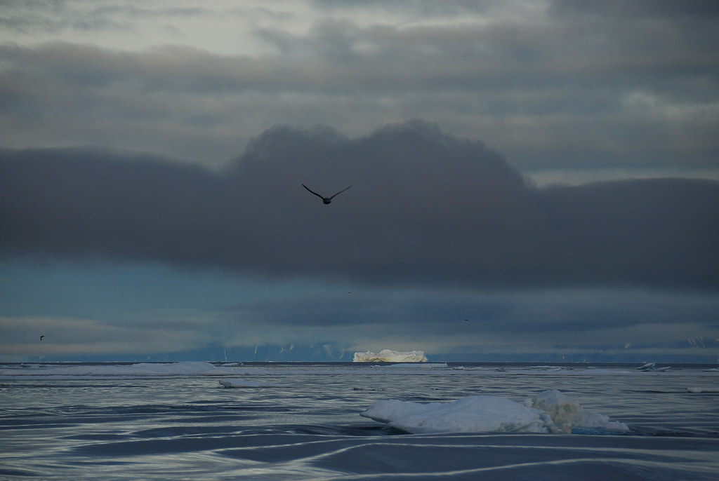 Icebergs of Ellesmere Island, near Grise Fiord, Nunavut. Flickr
