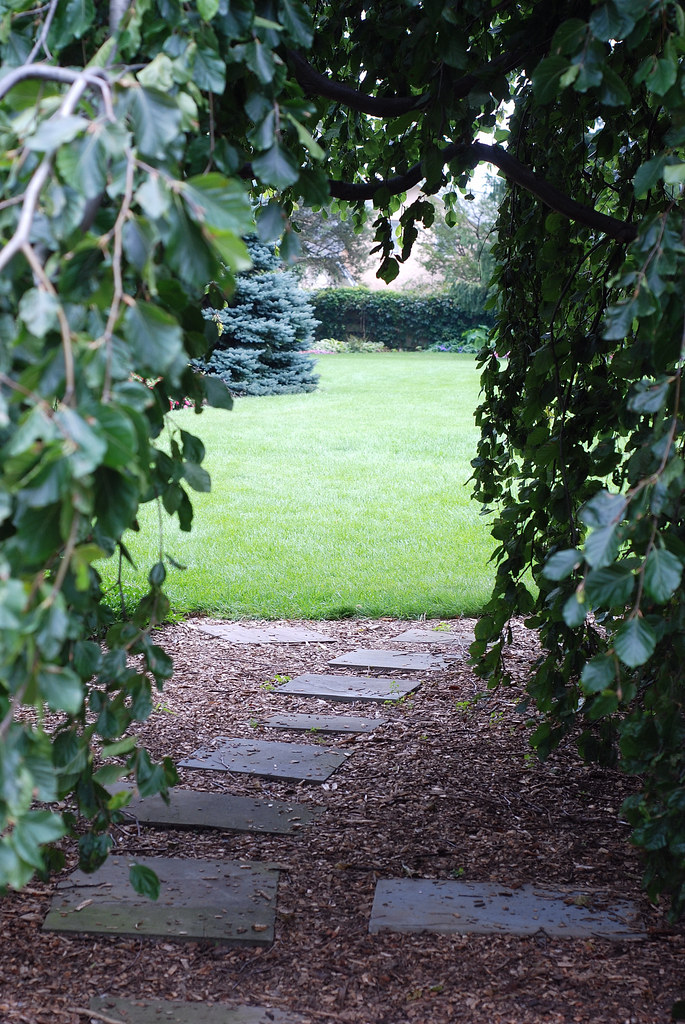 Hidden Lake 073120101_33 Tracy Flickr