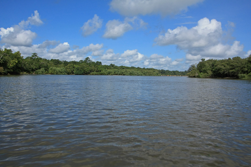 Altamaha River, upstream of Altamaha Park, Glynn and McInt… Flickr