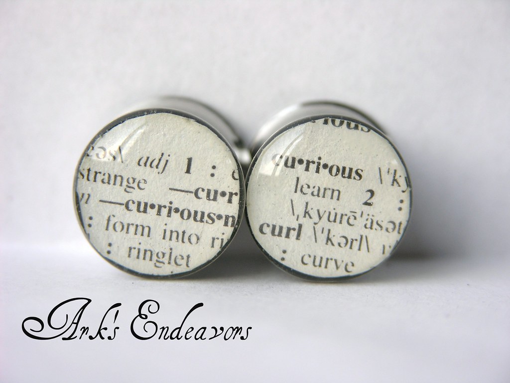 Plug Dictionary Definition at Philip Smith blog