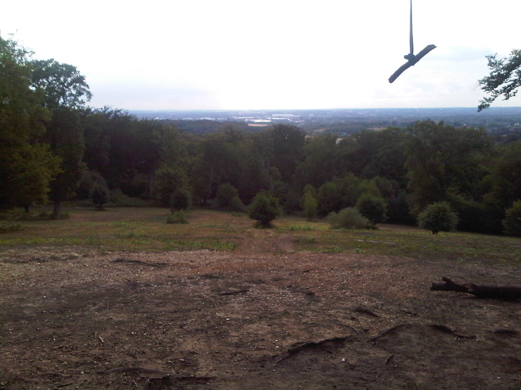 Epping forest... almost makes up for living down south.… Flickr