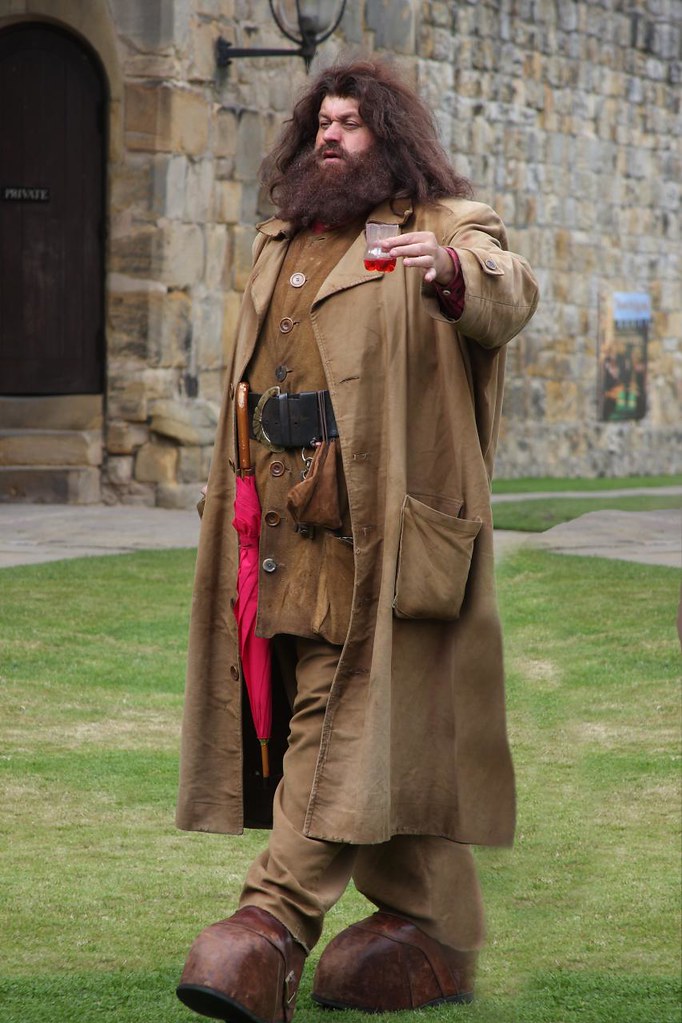 Hagrid Played by Robbie Coultrane in the Harry Potter film… Flickr