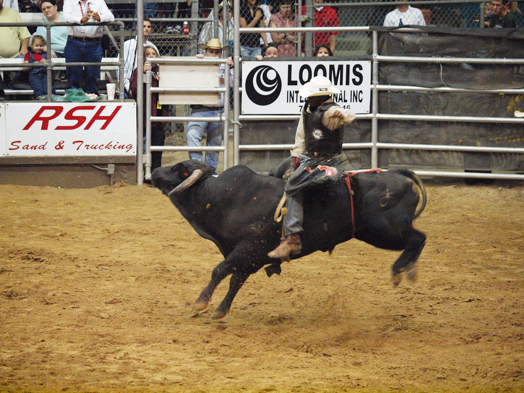 Pasadena Texas Day 2 PBR Bullriding Pasadena Livestock Sho… Flickr