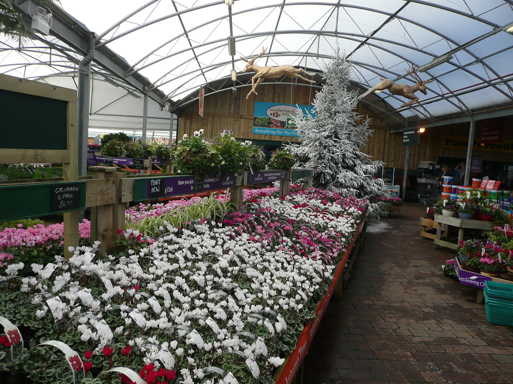 Sanders Gardenworld Brent Knoll 17/10/10 Flickr