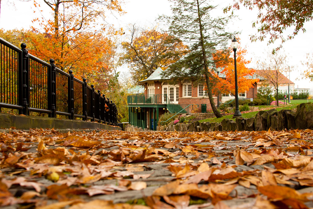 Schenley Park Flickr
