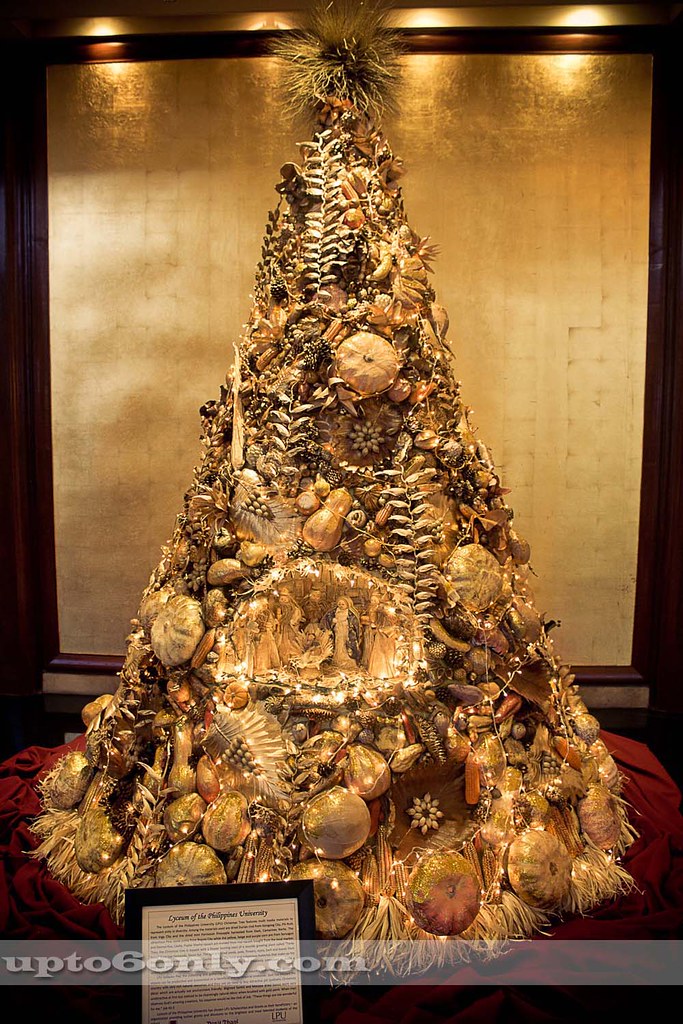 Lyceum of the Philippines' Christmas Tree The Lyceum of th… Flickr