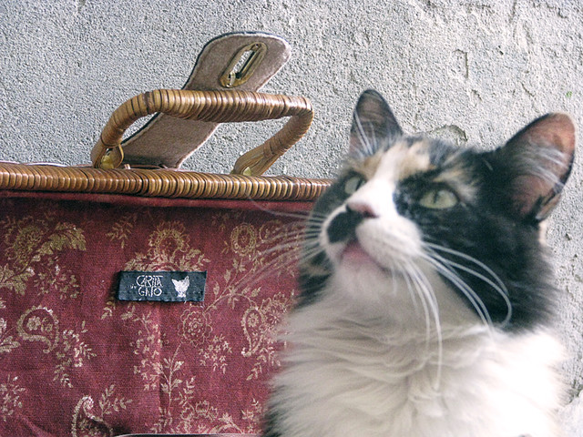 Camita de Gato MODELO MALETA MIMBRE TRANSPORTABLE CAMA PEQ… Flickr