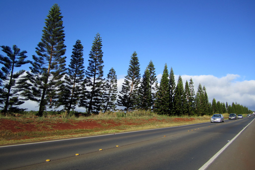 O'ahu Kamehameha Highway Kamehameha Highway is one of the… Flickr