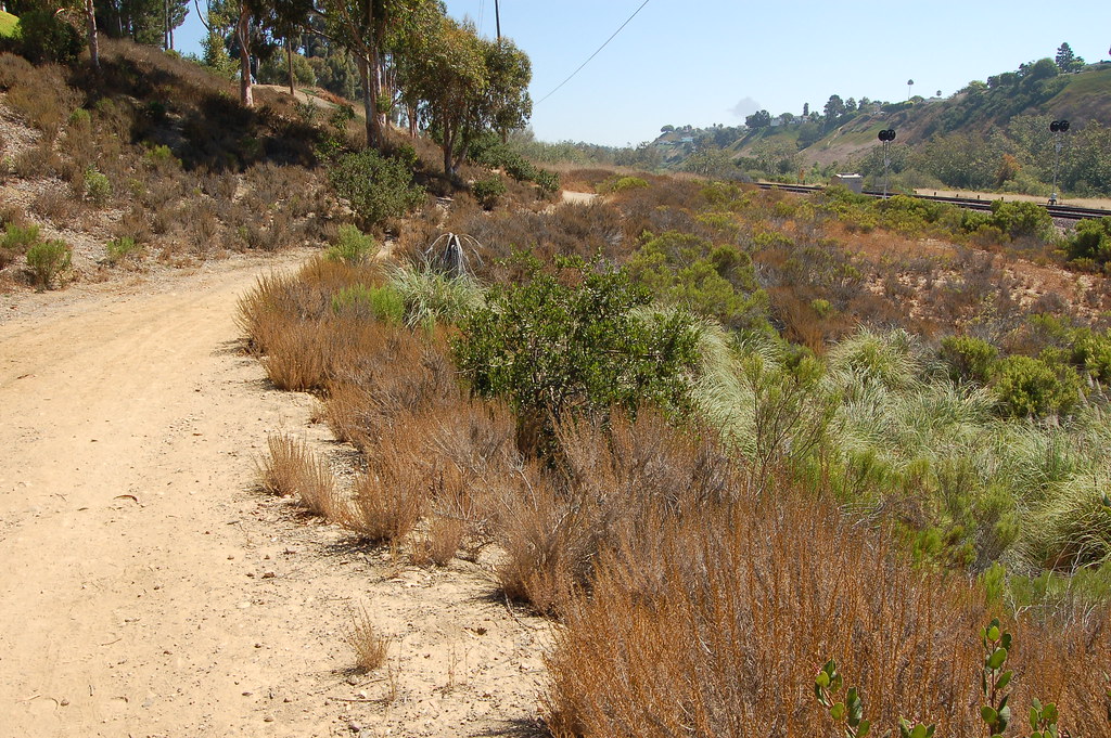 Rose Canyon Bike Path Flickr