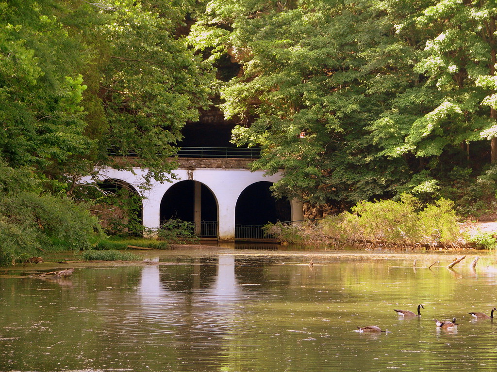 Dunbar Cave Dunbar Cave is a scenic State Natural Area in … Flickr