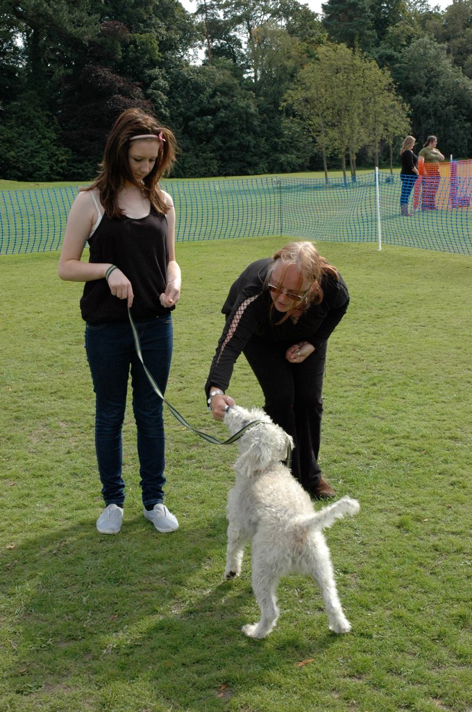 DSC_0531 Glasgow Dog Training Flickr