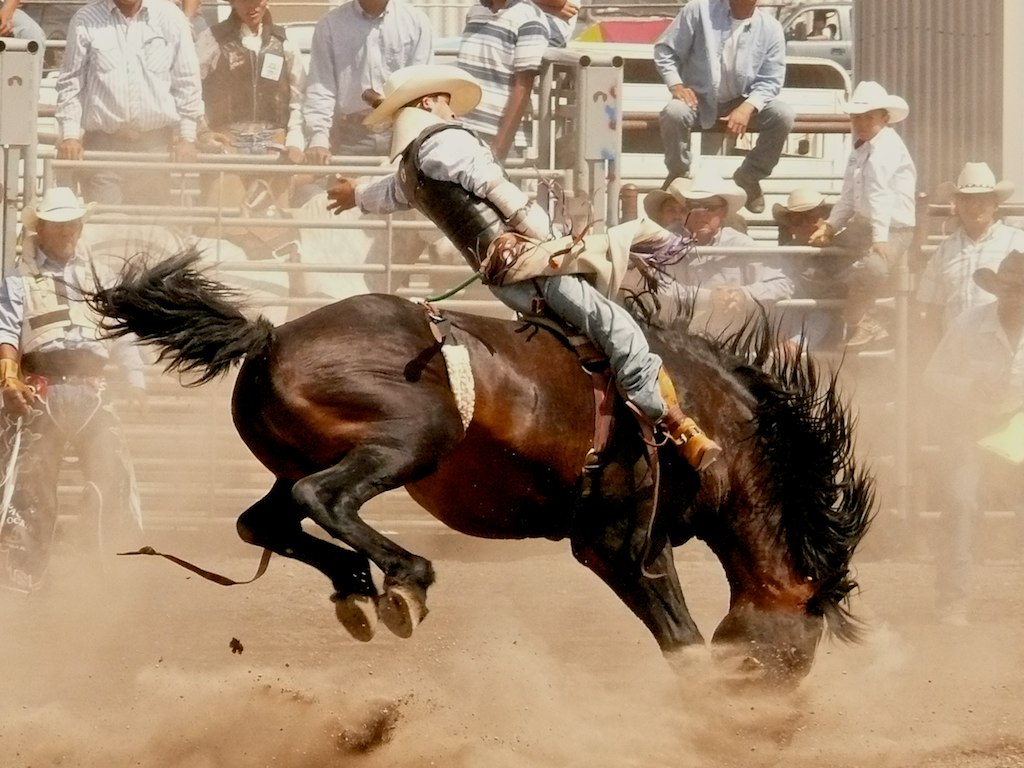 Flickriver Random photos from Browning Montana ( Amtrak ) pool