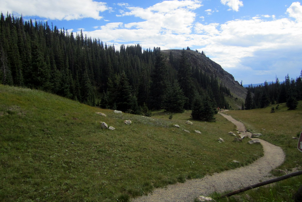 Colorado Rocky Mountain National Park Milner Pass Old Fall River Roadway a photo on