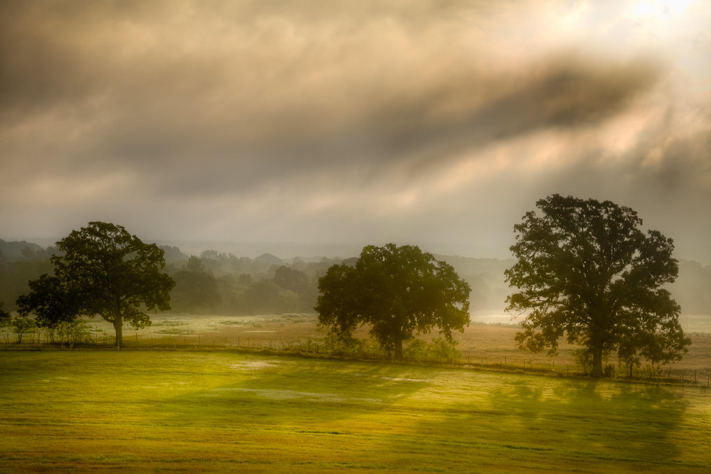 Lake Tyler, Texas, USA Sunrise Sunset Times