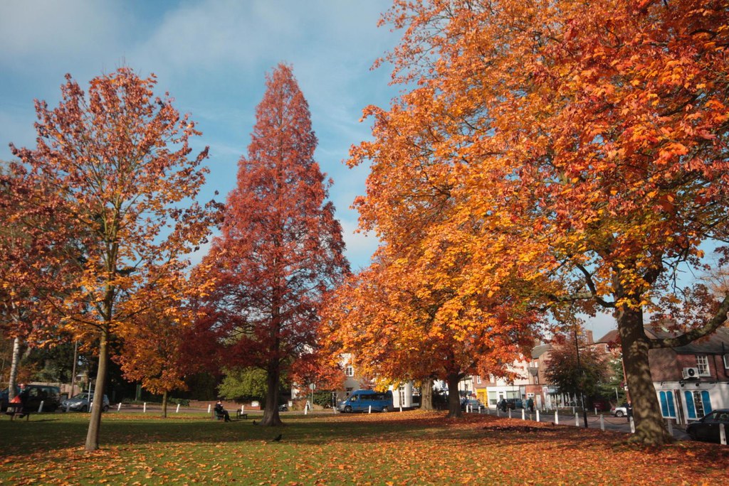 Village Green Leyton Green Harpenden Herts diskdoc Flickr