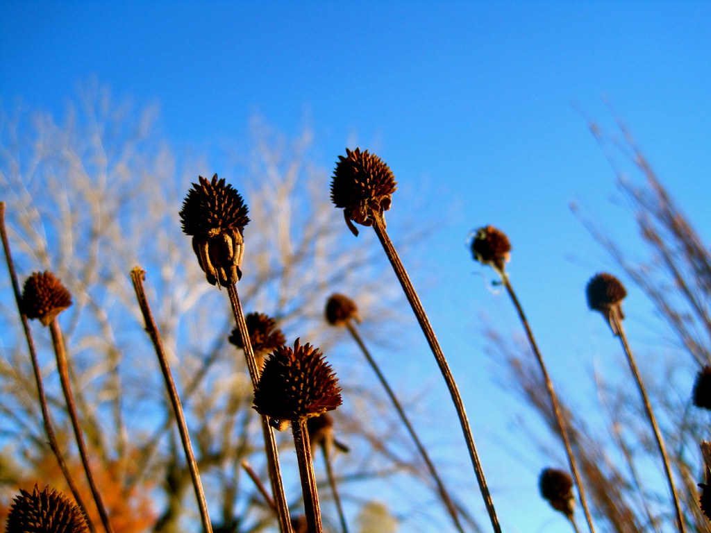 Kendra Wheeler Tulsa Ok at Marc Johnson blog