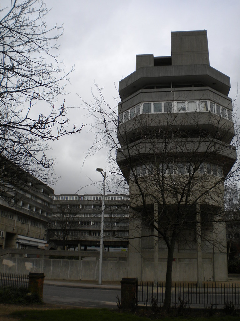 Wyndham Court, Southampton hamster! Flickr