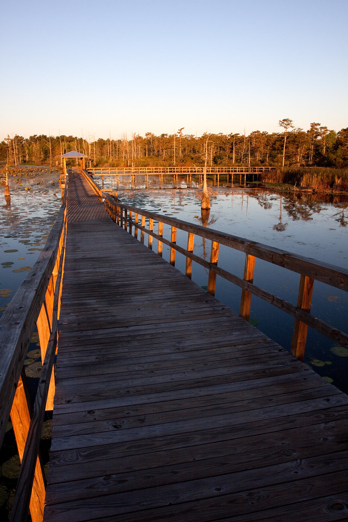 Pope St, Monroe, LA 美國的日出日落時間表