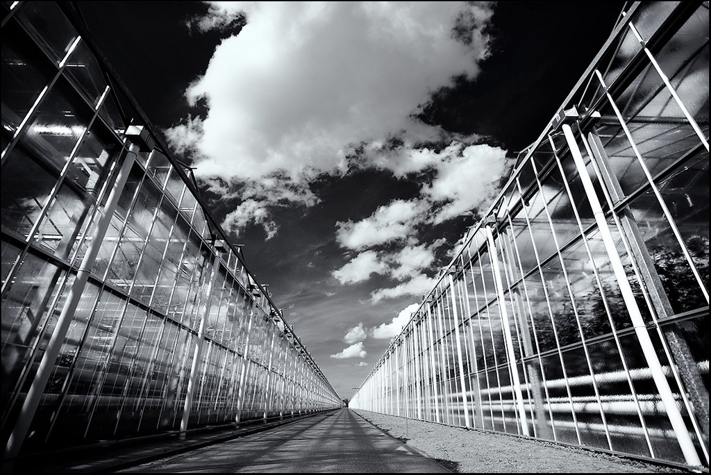 Greenhouses 2 Leo Roos Flickr