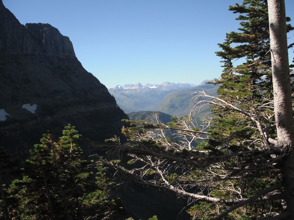 Glacier & Bozeman 2010 098 ro ka Flickr