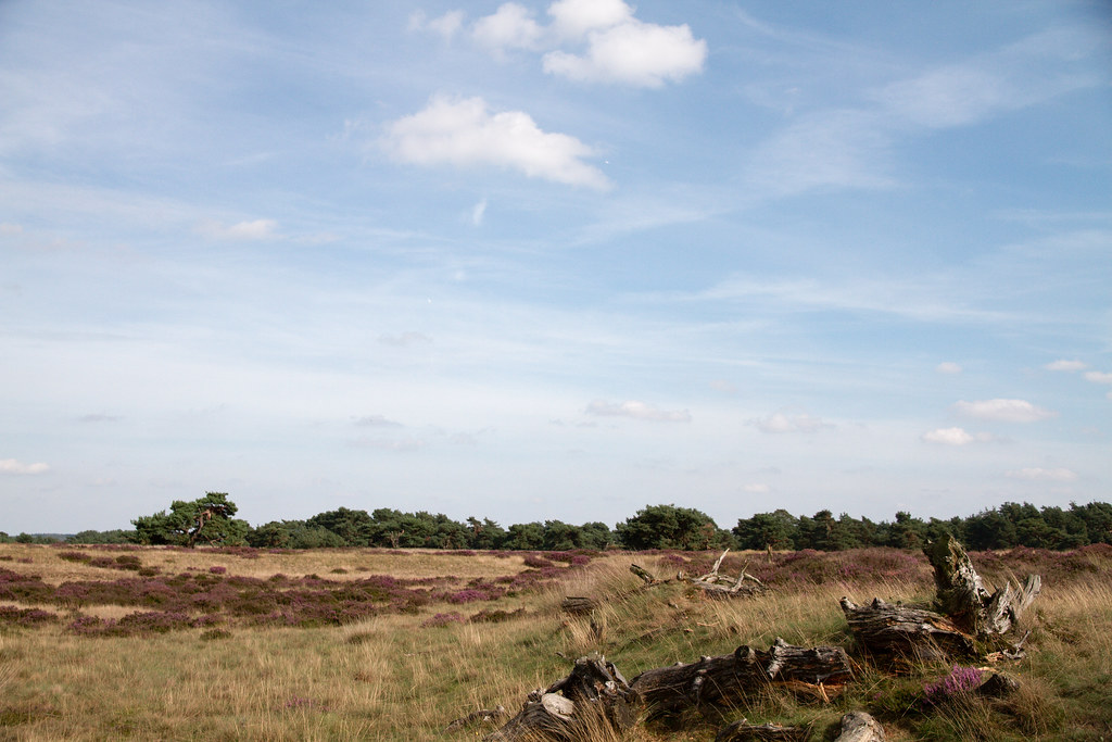 Nationaal Park De Hoge Veluwe Nationaal Park De Hoge Veluw… Flickr