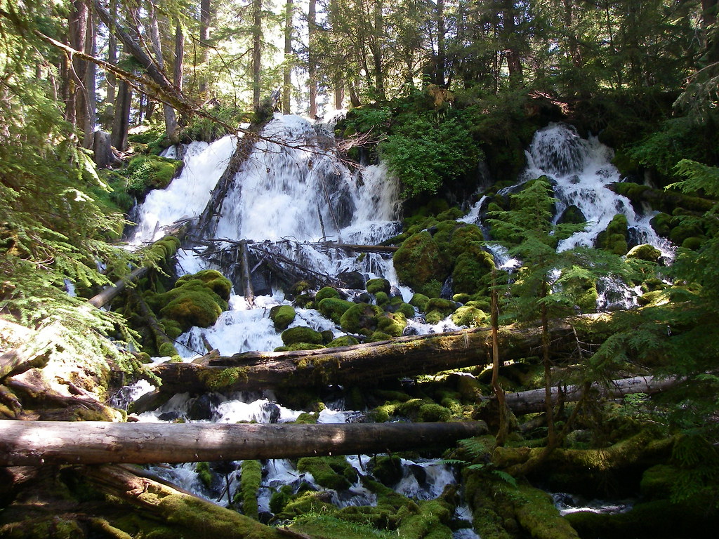 IMGP2087 Clearwater Falls Ingrid Flickr