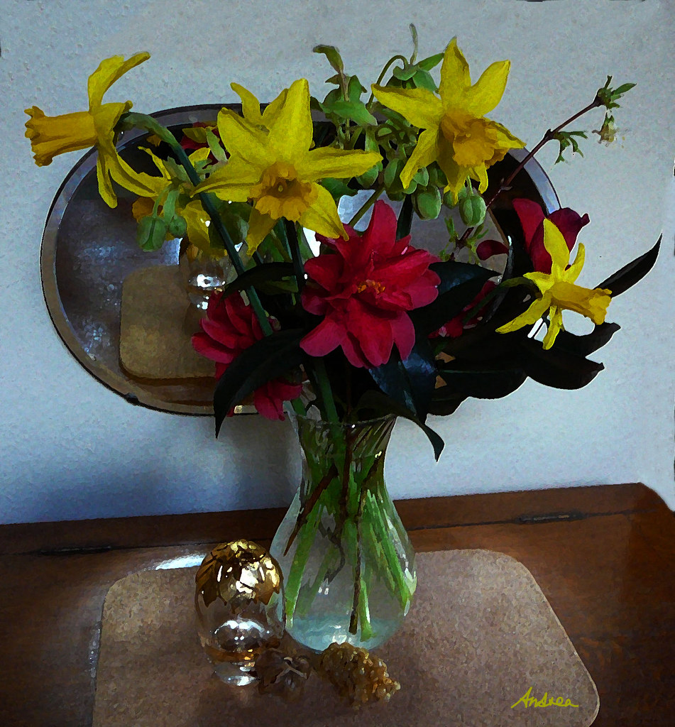 Flowers in the house 3 By the end of February 2009 the cam… Flickr