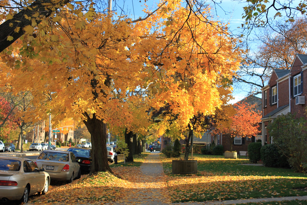 Oakland Gardens Oakland Gardens, Queens, New York City, Ne… Flickr