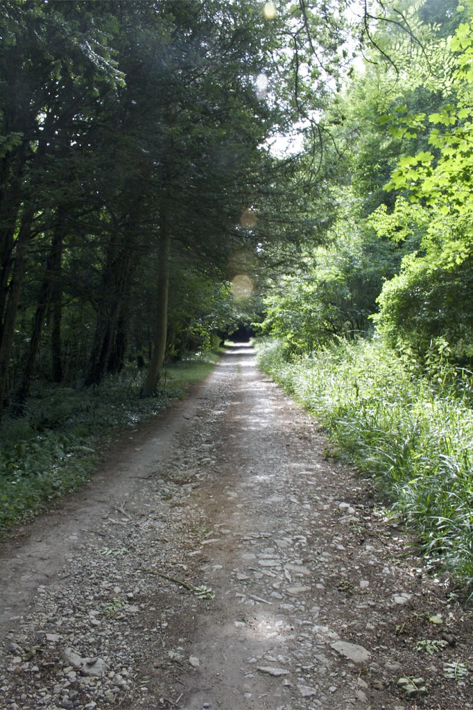 Kingston forest path forest path sallysue Flickr