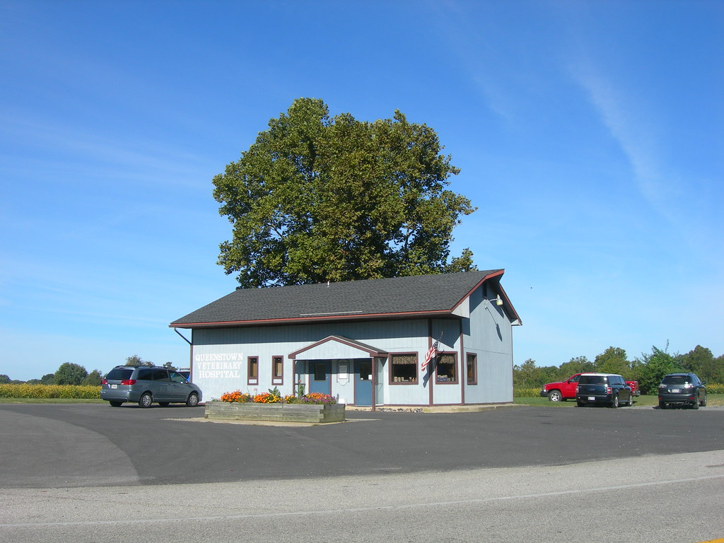 Queenstown Veterinary Hospital Queenstown, Maryland Jimmy Emerson