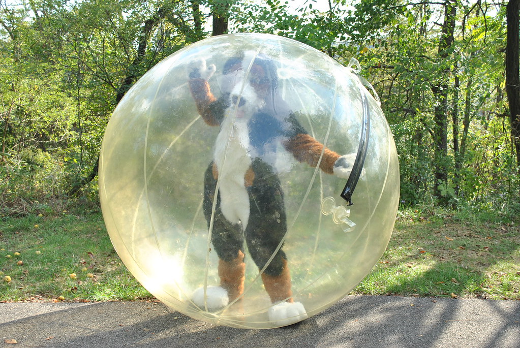 Fursuiter in a giant hamster ball Douglas Muth Flickr