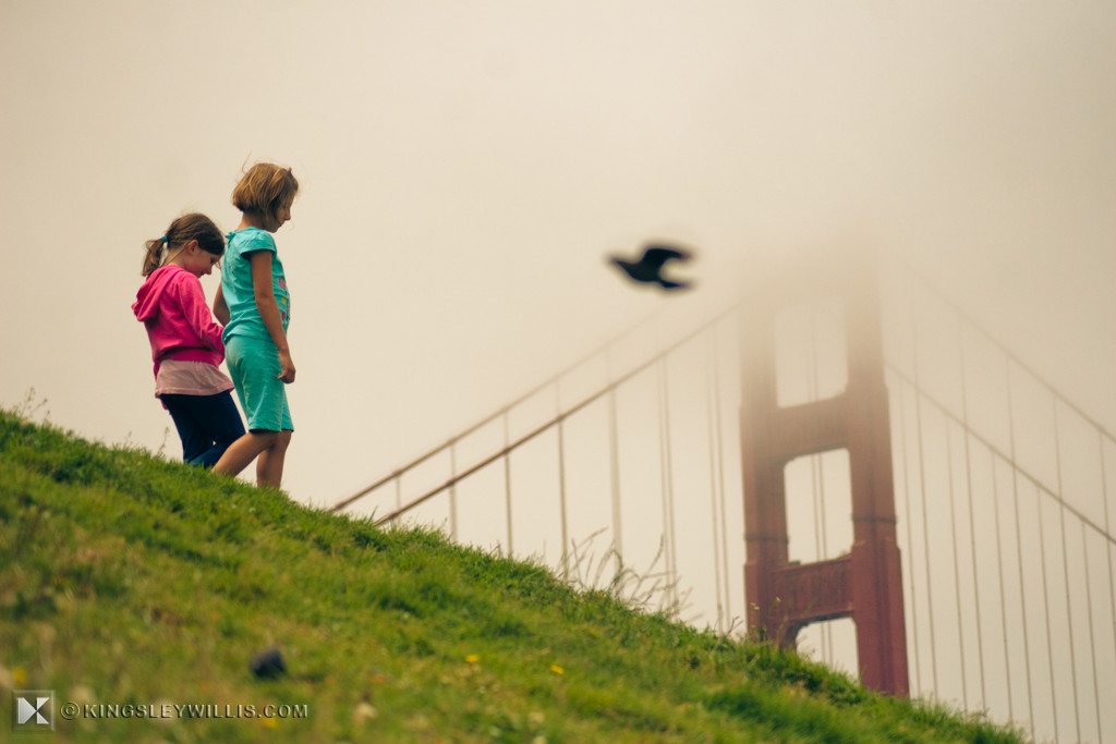 A Walk in the Golden Gate Park Kingsley Willis Flickr