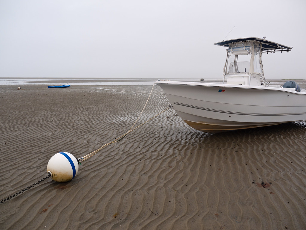 capecod10105562 Sunken Meadow Beach, North Eastham Dale Musselman