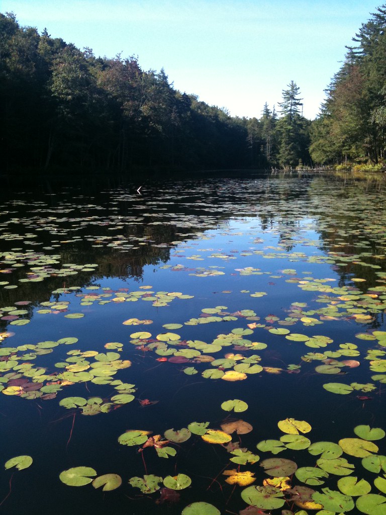 Otter Lake 2010 Otter Lake, Trask Camp, 2010, Mike & TeriJ… Wayne
