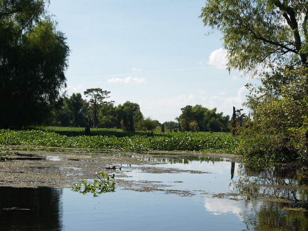 Henderson Louisiana Atchafalaya Basin nations largest swam… Flickr