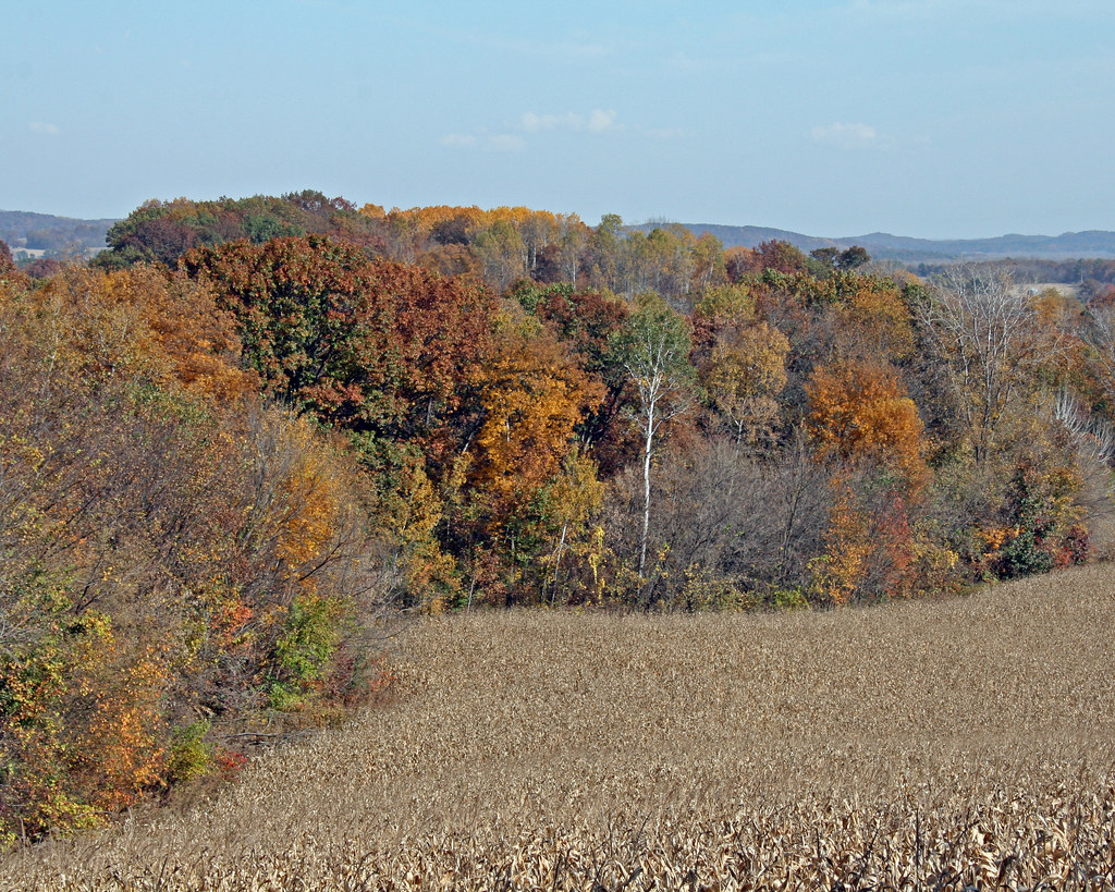 Wisconsin Fall 10.11.10 037 Autumn in Wisconsin. Please do… Flickr