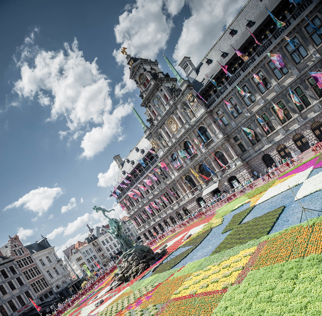 Belgium, Antwerp, flower carpet on the Grote Markt Flickr