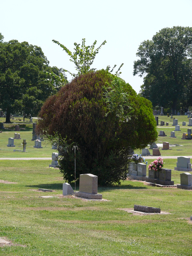 P1000486 Pawhuska Cemetery Stephen Payne Flickr