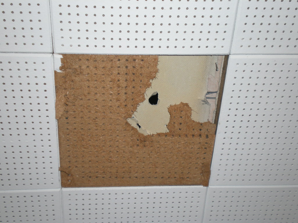 Ceiling Tile with Asbestos Paper SubLayer View of nonasb… Flickr