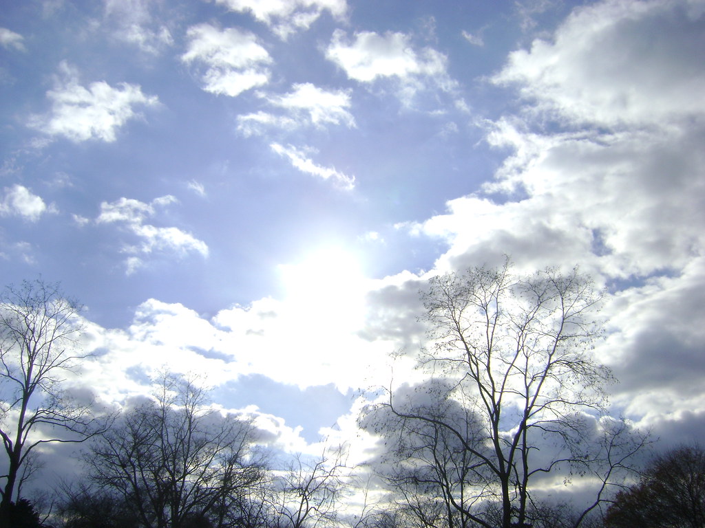 East Hampton Nov. 2010 & Misc 019 mariewlsh Flickr