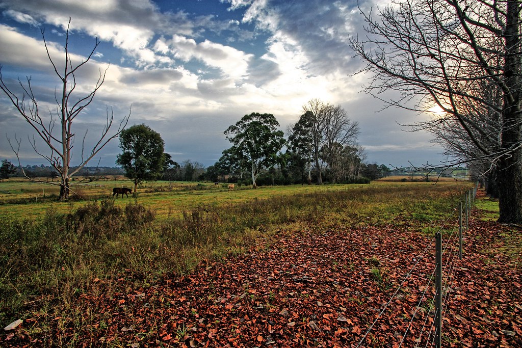 Kirkham flats. Kirkham flats. One of the few area's where … Flickr