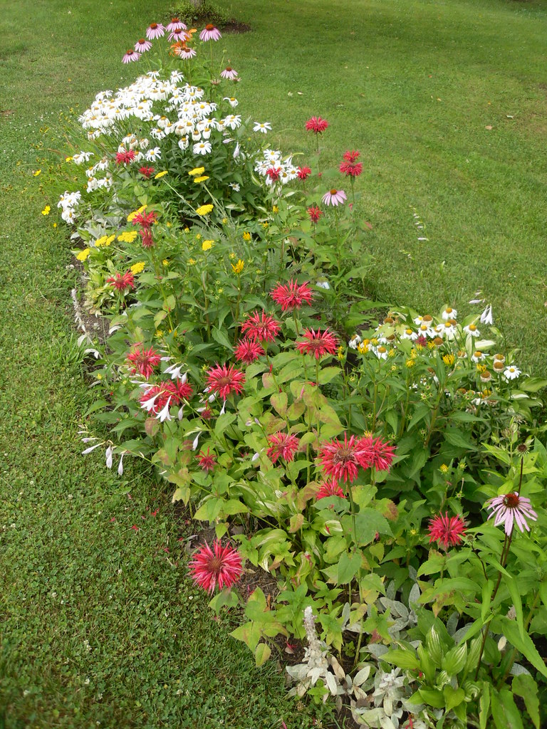 Holland Patent, New York Holland Patent, New York Flickr